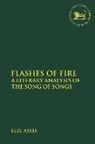 Elie Assis, Claudia V. Camp, Andrew Mein - Flashes of Fire