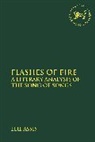 Elie Assis, Claudia V. Camp, Andrew Mein - Flashes of Fire