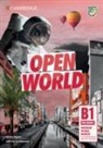 Sheila Dignen - Open World B1 Preliminary Workbook with Audio Download