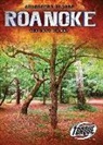 Kari Schuetz - Roanoke: The Lost Colony