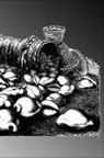 C. a. Vision Books, Heinrich Morin - Money Cowry: Ancient Historical Sea Shell Money Cowries Illustrated Art Gray Softcover Note Book Diary Lined Writing Journal Notebo