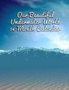 Calendar Gal Press - Our Beautiful Underwater World 14-Month Calendar: January 2019-February 2020