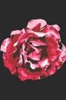 Charlotte Bronte - Jane Eyre