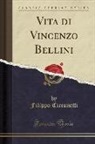 Filippo Cicconetti - Vita Di Vincenzo Bellini (Classic Reprint)