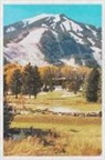 Dms Books - Aspen: Colorado Rocky Mountains Ski Resort 2020 Planner Calendar Daily Weekly Monthly Organizer