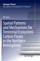 Zhi Chen - Spatial Patterns and Mechanisms for Terrestrial Ecosystem Carbon Fluxes in the Northern Hemisphere