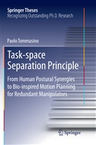 Paolo Tommasino - Task-space Separation Principle