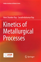 Hem Shanke Ray, Hem Shanker Ray, Saradindukumar Ray - Kinetics of Metallurgical Processes
