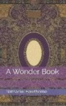 Nathaniel Hawthorne - A Wonder Book