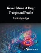 Amoakoh Gyasi-Agyei, Amoakoh Gyasi-agyei - Wireless Internet Of Things: Principles And Practice