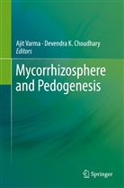 Devendra Choudhary, Devendra K. Choudhary, K Choudhary, K Choudhary, Aji Varma, Ajit Varma - Mycorrhizosphere and Pedogenesis