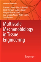 Adrien Baldit, Sara Barreto, Marzi Brunelli, Marzia Brunelli, Ana Campos Marin, Andre Castro... - Multiscale Mechanobiology in Tissue Engineering