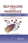 Vincenzo (Universita DI Padova Amendola, Vincenzo Meneghetti Amendola, Vincenzo Amendola, Amendola Vincenzo, Moreno Meneghetti, Meneghetti Moreno - Self-Healing At the Nanoscale