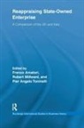 Franco (Bocconi University Amatori, Franco Millward Amatori, Franco Amatori, Amatori Franco, Robert Millward, Millward Robert... - Reappraising State-Owned Enterprise