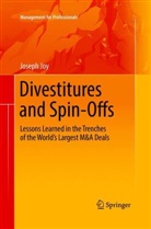 Joseph Joy - Divestitures and Spin-Offs