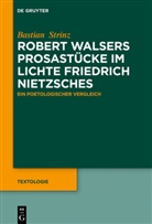 Bastian Strinz - Robert Walsers Prosastücke im Lichte Friedrich Nietzsches