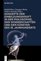 Rudolf Meer, Giusepp Motta, Giuseppe Motta, Gideon Stiening - Konzepte der Einbildungskraft in der Philosophie, den Wissenschaften und den Künsten des 18. Jahrhunderts