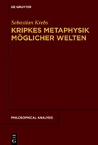 Sebastian Krebs - Kripkes Metaphysik möglicher Welten