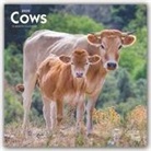 BrownTrout Publisher, Browntrout Publishing (COR) - Cows 2020 Calendar