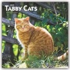 BrownTrout Publisher, Inc Browntrout Publishers, Browntrout Publishing (COR) - Tabby Cats 2020 Calendar