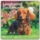 BrownTrout Publisher, Browntrout Publishing (COR) - Longhaired Dachshunds 2020 Calendar