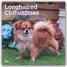 BrownTrout Publisher, Browntrout Publishing (COR) - Longhaired Chihuahuas 2020 Calendar