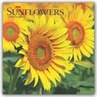 BrownTrout Publisher, Inc Browntrout Publishers, Browntrout Publishers Inc, Browntrout Publishing (COR) - Sunflowers 2020 Calendar
