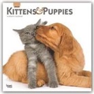 BrownTrout Publisher, Browntrout Publishing (COR) - Kittens & Puppies 2020 Calendar