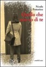Nicola Pettorino - Quello che non so di te