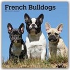 BrownTrout Publisher, Browntrout Publishing (COR) - French Bulldogs 2020 Calendar