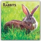 BrownTrout Publisher, Inc Browntrout Publishers, Browntrout Publishers Inc, Browntrout Publishing (COR) - Rabbits 2020 Calendar