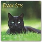 BrownTrout Publisher, Browntrout Publishing (COR) - Black Cats 2020 Calendar