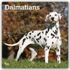 BrownTrout Publisher, Browntrout Publishing (COR) - Dalmatians 2020 Calendar