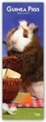 BrownTrout Publishers, Browntrout Publishing (COR) - Guinea Pigs 2020 Slimline Calendar