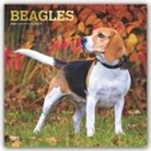 BrownTrout Publisher, Inc Browntrout Publishers, Browntrout Publishers Inc, Browntrout Publishing (COR) - Beagles 2020 Calendar
