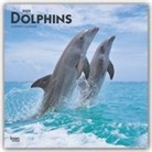BrownTrout Publisher, Inc Browntrout Publishers, Browntrout Publishing (COR) - Dolphins 2020 Calendar