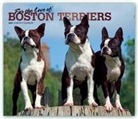 BrownTrout Publisher, Inc Browntrout Publishers, Browntrout Publishing (COR) - For the Love of Boston Terriers 2020 Calendar
