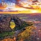 BrownTrout Publisher, Inc Browntrout Publishers, Browntrout Publishing (COR) - Wales 2020 Calendar