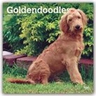 BrownTrout Publisher, Inc Browntrout Publishers, Browntrout Publishing (COR) - Goldendoodles 2020 Calendar