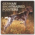 BrownTrout Publisher, Inc Browntrout Publishers, Browntrout Publishing (COR) - German Shorthaired Pointers 2020 Calendar