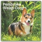 BrownTrout Publisher, Browntrout Publishers Inc, Browntrout Publishing (COR) - Pembroke Welsh Corgis 2020 Calendar