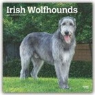 BrownTrout Publisher, Inc Browntrout Publishers, Browntrout Publishing (COR) - Irish Wolfhounds 2020 Calendar