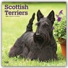 BrownTrout Publisher, Inc Browntrout Publishers, Browntrout Publishing (COR) - Scottish Terriers 2020 Calendar