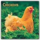 BrownTrout Publisher, Inc Browntrout Publishers, Browntrout Publishers Inc, Browntrout Publishing (COR) - Chickens 2020 Calendar