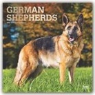 BrownTrout Publisher, Inc Browntrout Publishers, Browntrout Publishing (COR) - German Shepherds 2020 Calendar