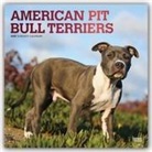 BrownTrout Publisher, Browntrout Publishing (COR) - American Pit Bull Terriers 2020 Calendar