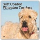 BrownTrout Publisher, Inc Browntrout Publishers, Browntrout Publishing (COR) - Soft Coated Wheaten Terriers 2020 Calendar