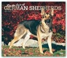 BrownTrout Publisher, Browntrout Publishing (COR) - For the Love of German Shepherds 2020 Calendar