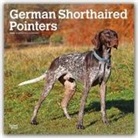 BrownTrout Publisher, Inc Browntrout Publishers, Browntrout Publishing (COR) - German Shorthaired Pointers 2020 Calendar
