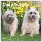BrownTrout Publisher, Inc Browntrout Publishers, Browntrout Publishing (COR) - Cairn Terriers 2020 Calendar